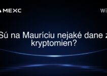 Sú na Mauríciu nejaké dane z kryptomien?