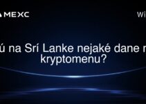 Sú na Srí Lanke nejaké dane na kryptomenu?