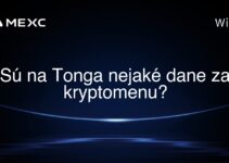 Sú na Tonga nejaké dane za kryptomenu?