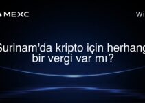 Surinam’da kripto için herhangi bir vergi var mı?