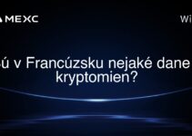 Sú v Francúzsku nejaké dane z kryptomien?