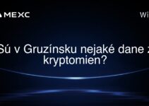 Sú v Gruzínsku nejaké dane z kryptomien?