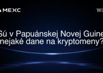 Sú v Papuánskej Novej Guinei nejaké dane na kryptomeny?