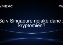 Sú v Singapure nejaké dane z kryptomien?