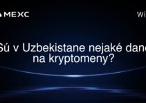 Sú v Uzbekistane nejaké dane na kryptomeny?