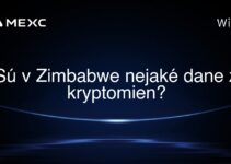 Sú v Zimbabwe nejaké dane z kryptomien?