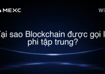 Tại sao Blockchain được gọi là phi tập trung?