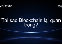 Tại sao Blockchain lại quan trọng?