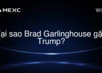 Tại sao Brad Garlinghouse gặp Trump?