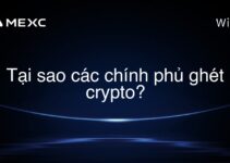 Tại sao các chính phủ ghét crypto?