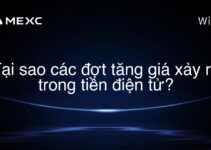 Tại sao các đợt tăng giá xảy ra trong tiền điện tử?