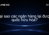 Tại sao các ngân hàng lại được quốc hữu hóa?