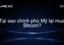 Tại sao chính phủ Mỹ lại mua Bitcoin?