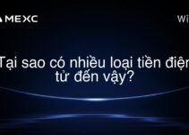 Tại sao có nhiều loại tiền điện tử đến vậy?