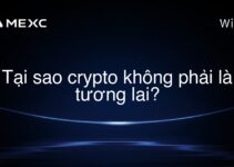 Tại sao crypto không phải là tương lai?