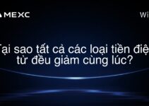 Tại sao tất cả các loại tiền điện tử đều giảm cùng lúc?