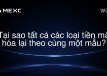Tại sao tất cả các loại tiền mã hóa lại theo cùng một mẫu?
