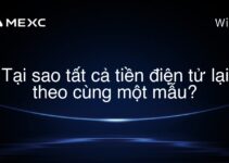 Tại sao tất cả tiền điện tử lại theo cùng một mẫu?