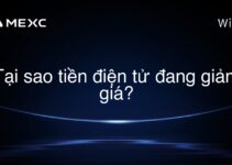 Tại sao tiền điện tử đang giảm giá?
