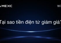Tại sao tiền điện tử giảm giá?