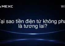 Tại sao tiền điện tử không phải là tương lai?