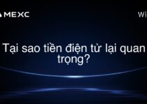Tại sao tiền điện tử lại quan trọng?