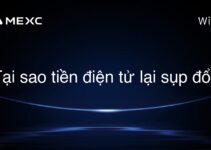 Tại sao tiền điện tử lại sụp đổ?