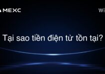 Tại sao tiền điện tử tồn tại?