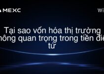 Tại sao vốn hóa thị trường không quan trọng trong tiền điện tử