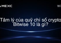 Tâm lý của quỹ chỉ số crypto Bitwise 10 là gì?