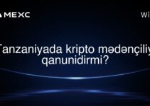 Tanzaniyada kripto mədənçiliyi qanunidirmi?