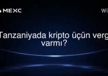 Tanzaniyada kripto üçün vergi varmı?