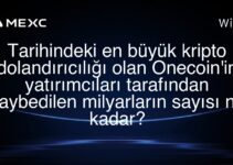 Tarihindeki en büyük kripto dolandırıcılığı olan Onecoin’in yatırımcıları tarafından kaybedilen milyarların sayısı ne kadar?