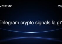 Telegram crypto signals là gì?