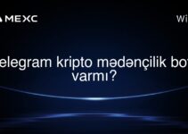 Telegram kripto mədənçilik botu varmı?