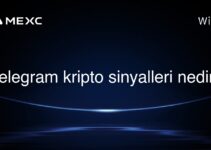 Telegram kripto sinyalleri nedir?