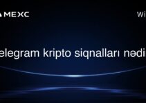 Telegram kripto siqnalları nədir?