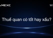 Thuế quan có tốt hay xấu?