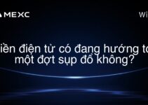 Tiền điện tử có đang hướng tới một đợt sụp đổ không?