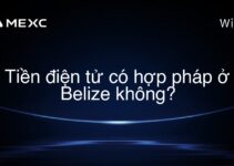 Tiền điện tử có hợp pháp ở Belize không?