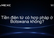 Tiền điện tử có hợp pháp ở Botswana không?