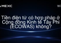 Tiền điện tử có hợp pháp ở Cộng đồng Kinh tế Tây Phi (ECOWAS) không?