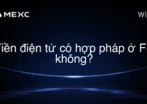 Tiền điện tử có hợp pháp ở Fiji không?