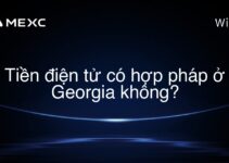 Tiền điện tử có hợp pháp ở Georgia không?