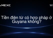 Tiền điện tử có hợp pháp ở Guyana không?