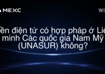 Tiền điện tử có hợp pháp ở Liên minh Các quốc gia Nam Mỹ (UNASUR) không?
