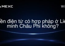 Tiền điện tử có hợp pháp ở Liên minh Châu Phi không?