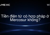 Tiền điện tử có hợp pháp ở Mercosur không?