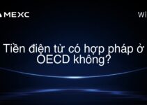 Tiền điện tử có hợp pháp ở OECD không?