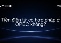 Tiền điện tử có hợp pháp ở OPEC không?
